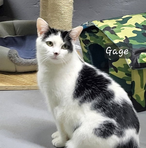 Gage