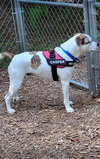 Casper - Photo 3