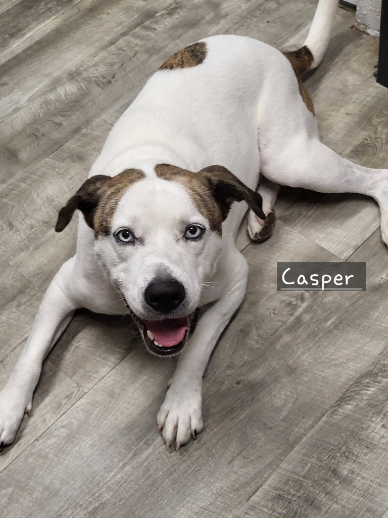 Casper Image