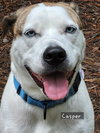 Casper - Photo 2