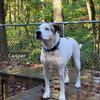 Casper - Photo 4