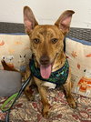 Atticus - Photo 2