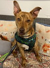 Atticus - Photo 3