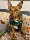 Atticus - Photo 4