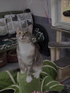 Sassy Girl - Photo 2