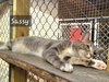 Sassy Girl - Photo 2