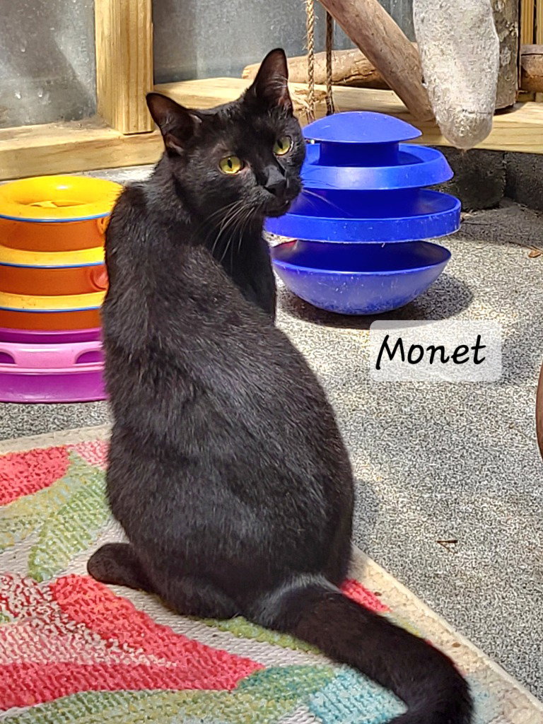 Monet