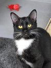 Peppermint Patti - Photo 1