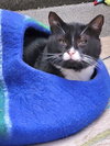 Bubs - Photo 1