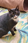 Bubs - Photo 3