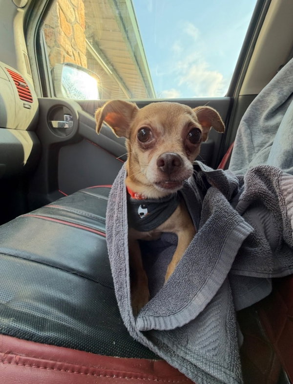 Morty