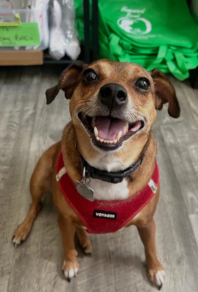 April