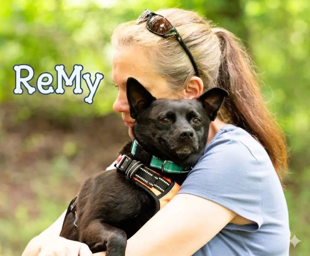 Remy image 3