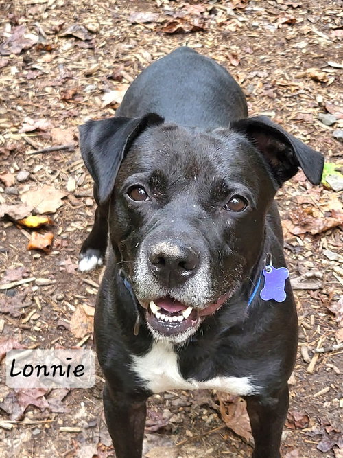 Photo 2 of Lonnie