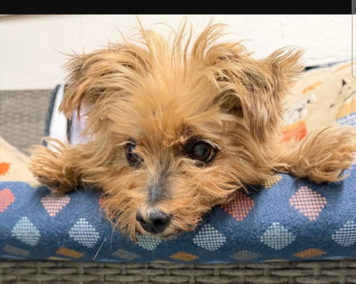 Photo 4 of Dorgle