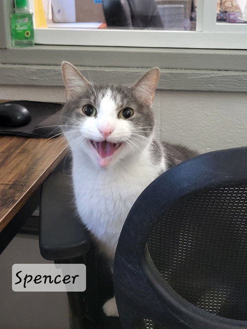 Photo 4 of Spencer