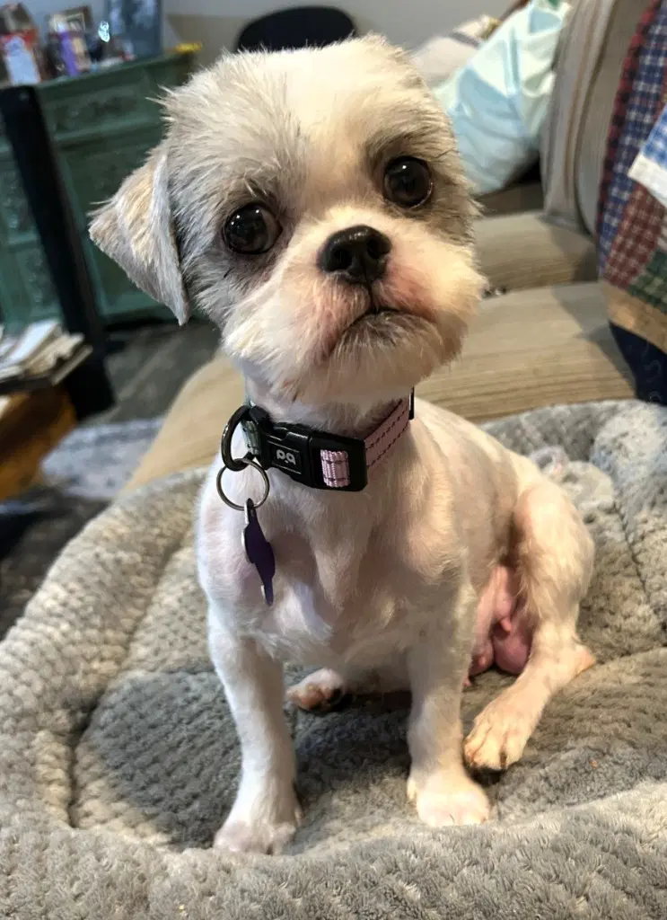 Josie image 3