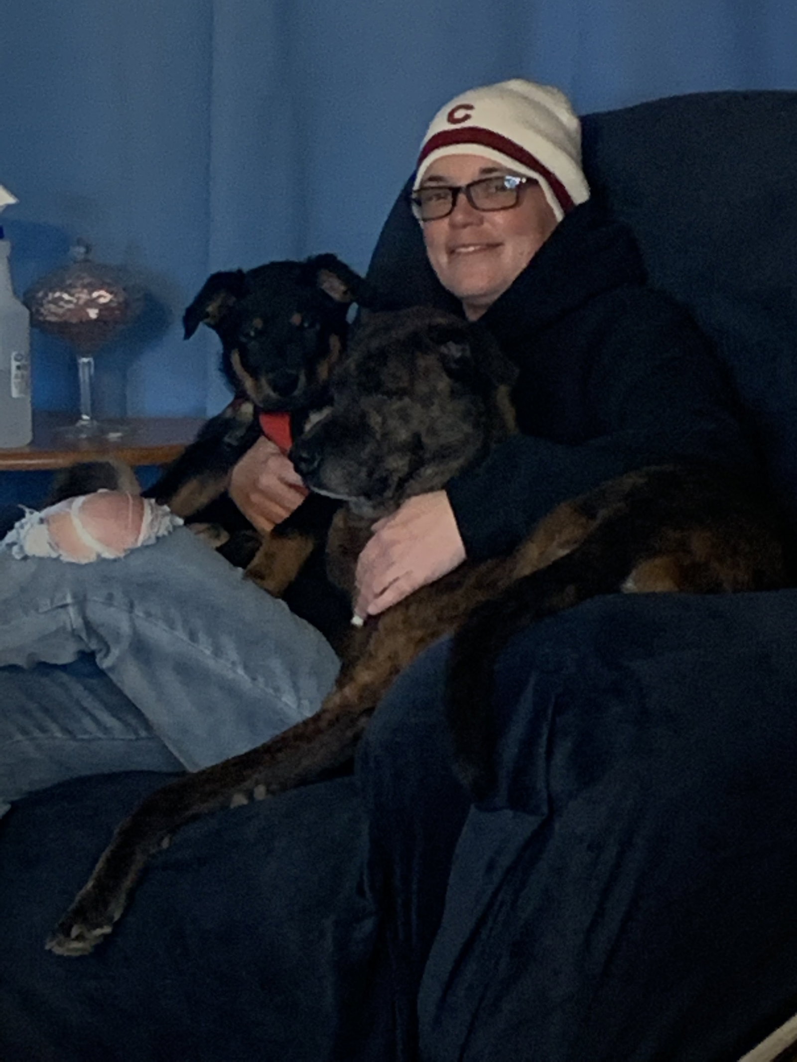 Dog for Adoption Ralphie, a German Shepherd Dog in Champaign County