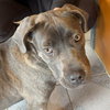 Thea - Photo 2