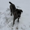 Thea - Photo 5