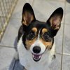Lily - Photo 5