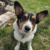 Lily - Photo 2