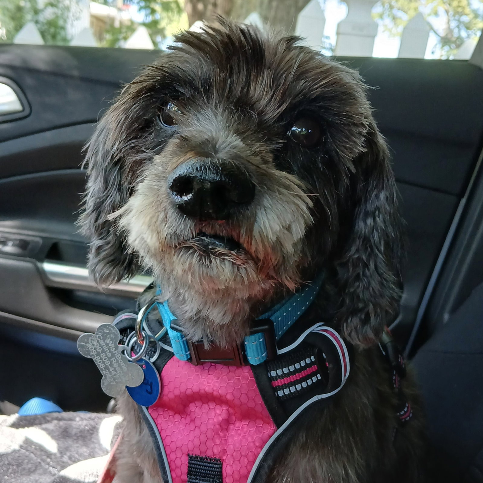 Zoey Image