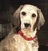 Lucille - Photo 1