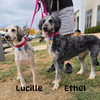 Ethel - Photo 3