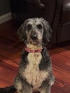Ethel - Photo 2