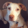 Casper - Photo 3