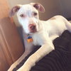 Casper - Photo 8