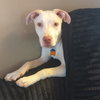 Casper - Photo 9