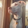 Casper - Photo 10