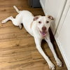 Casper - Photo 4