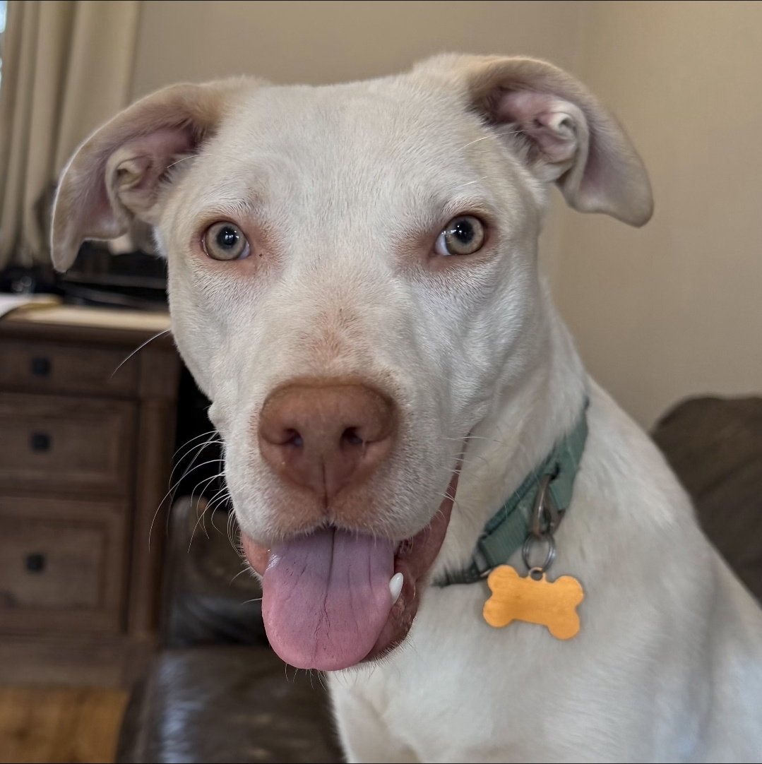 Casper Image