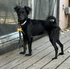 Squeakers - Photo 2