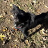 Squeakers - Photo 4