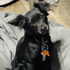 Squeakers - Photo 5
