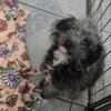 Monica - Photo 2