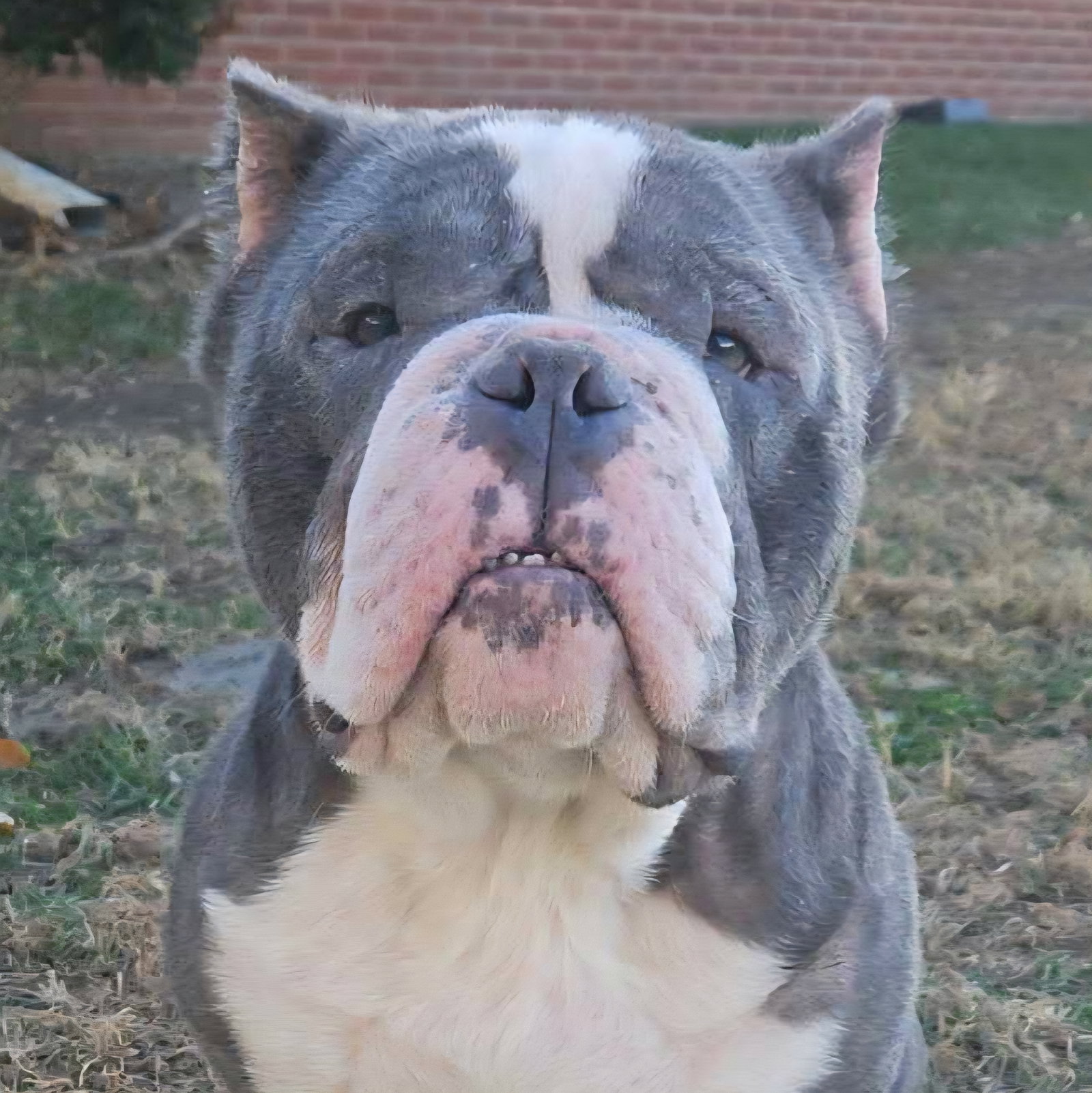Sully Image