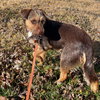 Mariela - Photo 3