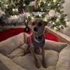 Timon - Photo 4
