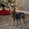 Timon - Photo 5