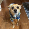 Timon - Photo 6