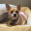 Timon - Photo 7