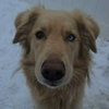 Donner - Photo 1
