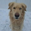 Donner - Photo 3