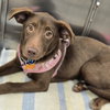 Nora - Photo 3