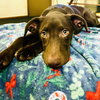Griswold - Photo 2